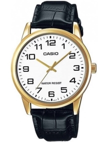 casio instinct